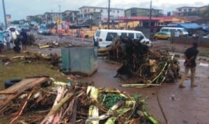 Plantain stumps destroyed by rainstorm on Ajase Ipo Road in Ilorin, recently.  Photo: NAN