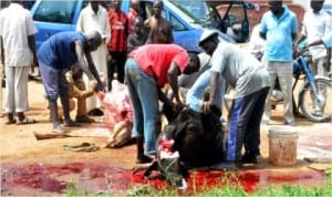 Members of National Union of Town Service Operators, slaughtering  cows for the celebration of Eid-el-Fitr in Bauchi, last Saturday