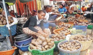 Traders displaying snails for sale at Oyingbo Market in Lagos last Wednesday. 