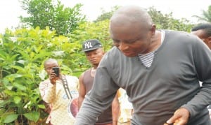 Senator Ayogu Eze (right),casting his vote at Umuozzi Ward 7, Igbo-Eze North local Government Area of Enugu State, during the 2015 governorship and House of Assembly  elections last Saturday.        Photo: NAN