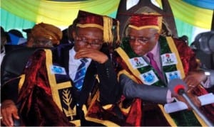 Vice Chancellor, University of Port Harcourt, Prof. Joseph Ajeinka (left) and the Executive Secretary, National Univeristies  Commission, Prof. Julius Okojie, during the 30th  Convocation of the University of Port Harcourt, last Saturday.